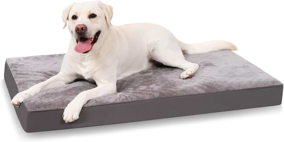 KSIIA Cama Ortopédica 90x55cm Desenfundable Lavable
