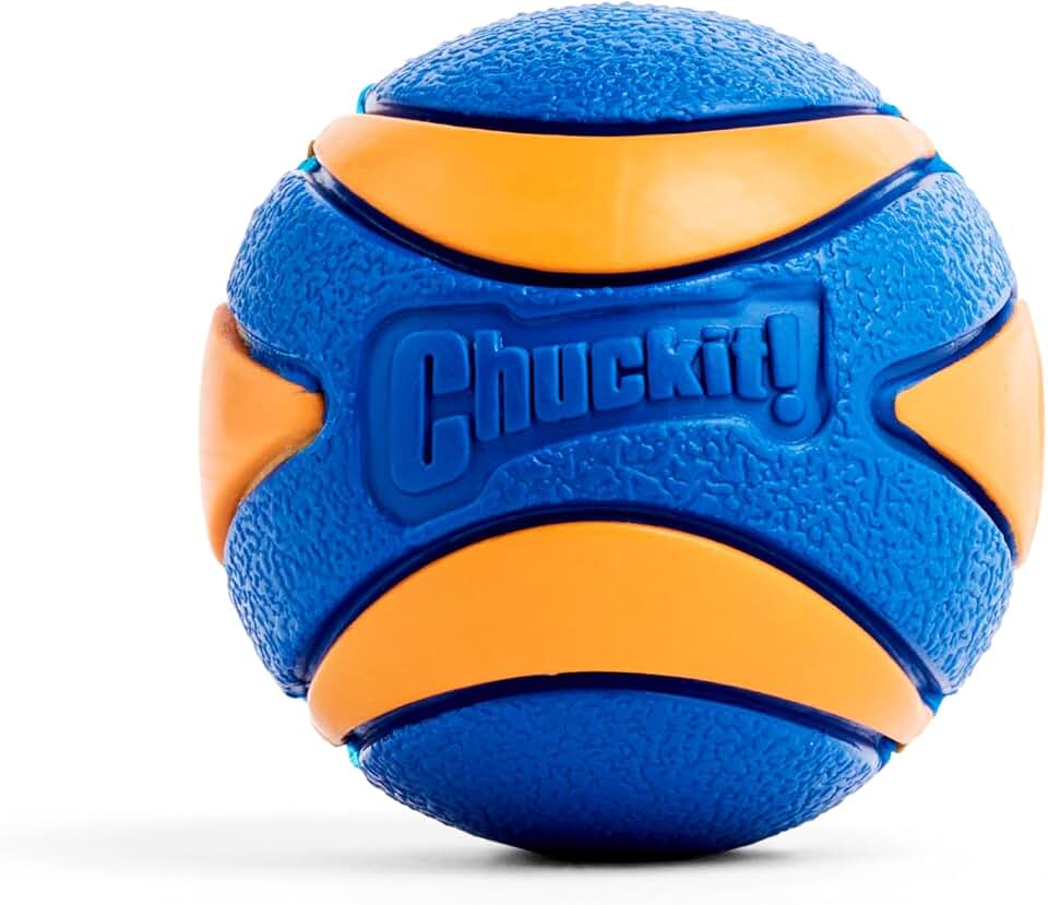 Chuckit Ultra Squeaker Ball M