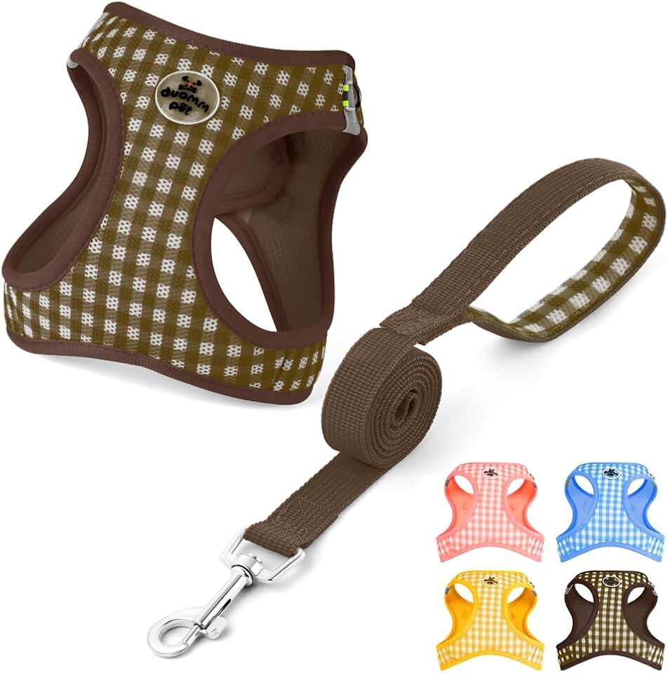 OFFCUP Arnés para Perro y Conjunto de Correa