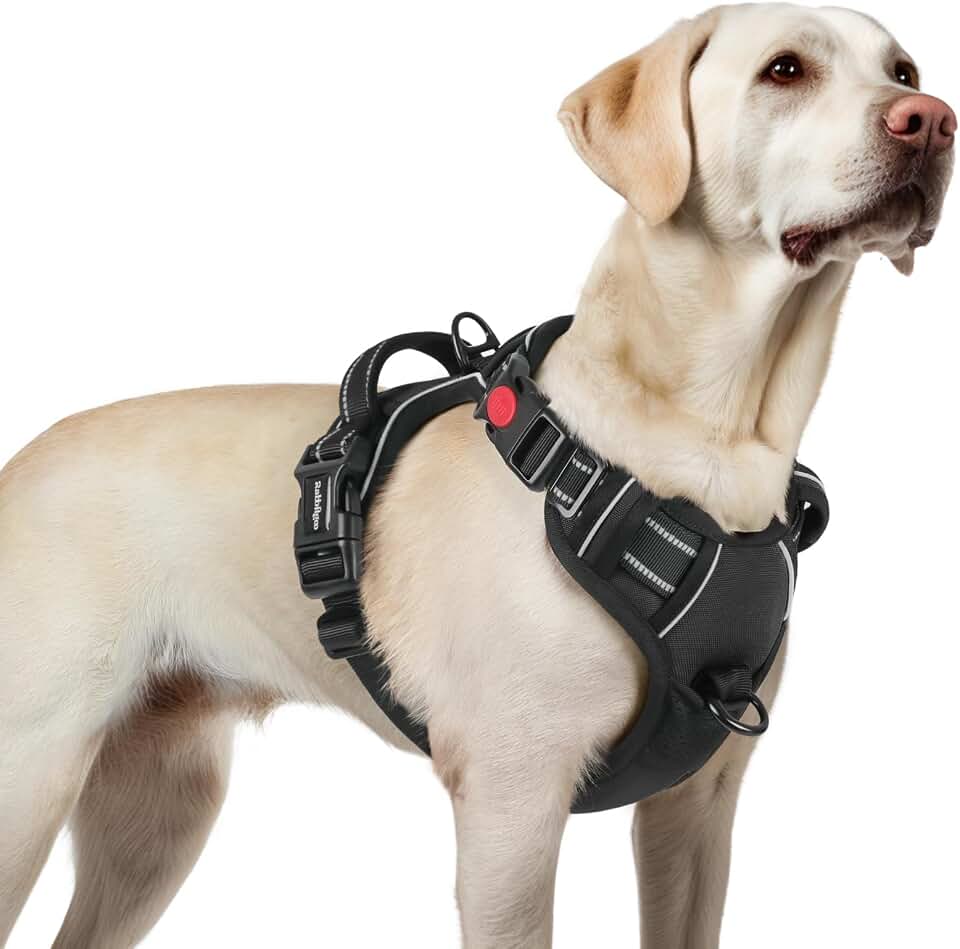 rabbitgoo Arnes Perro Mediano con 3 Hebillas