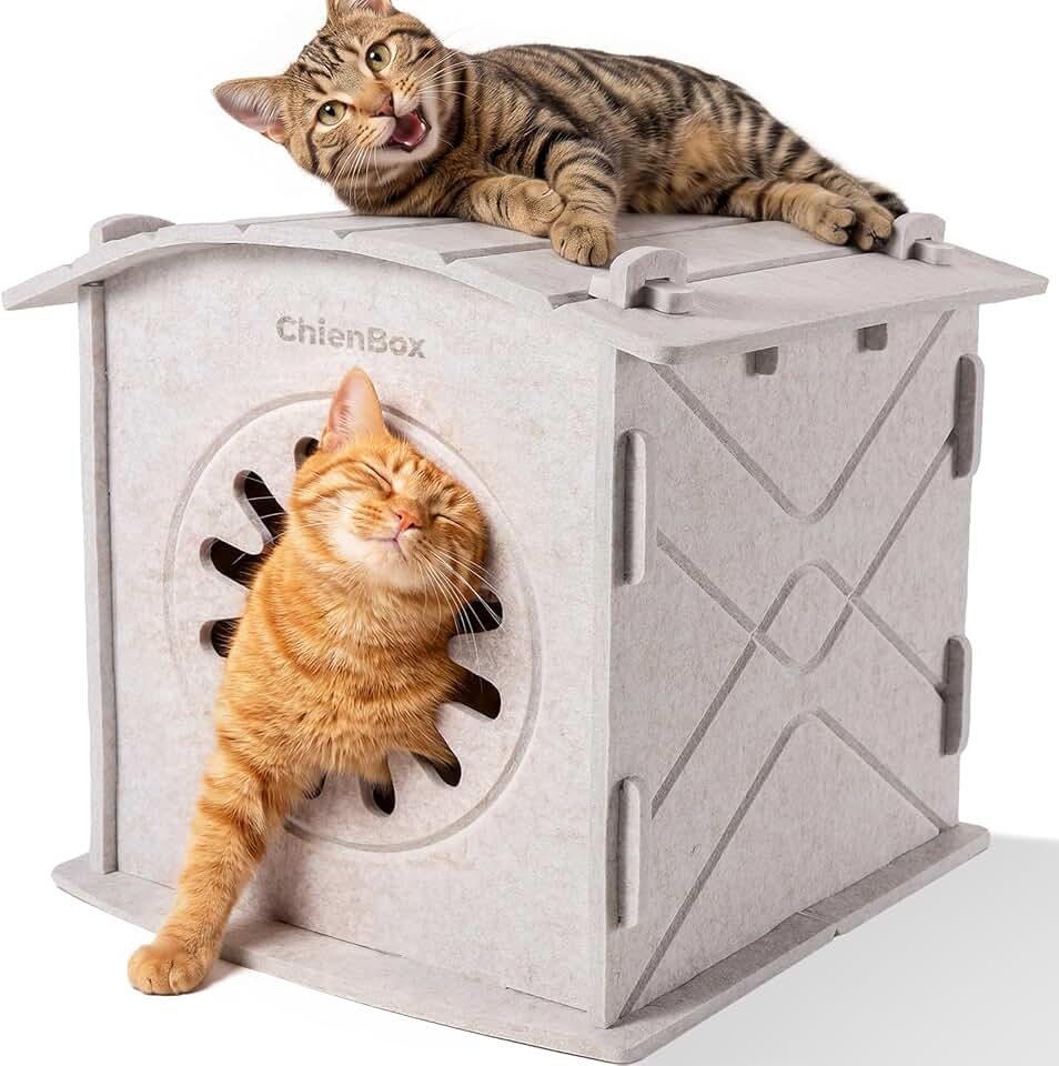 Casa para Gatos Interior de Fieltro
