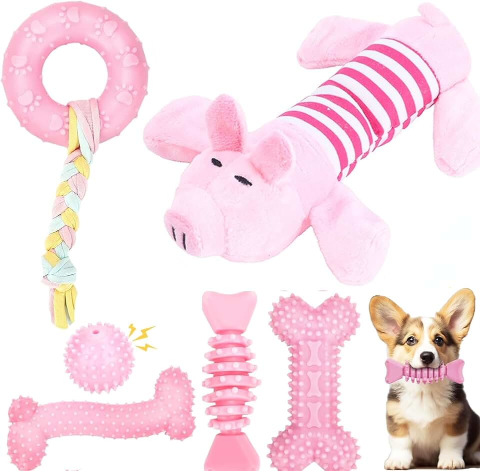 6 juguetes para cachorros de dentición