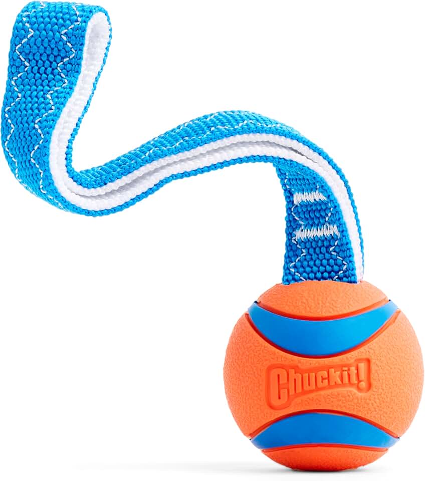 Chuckit! 231201 Ultra Tug Pelota para Perros
