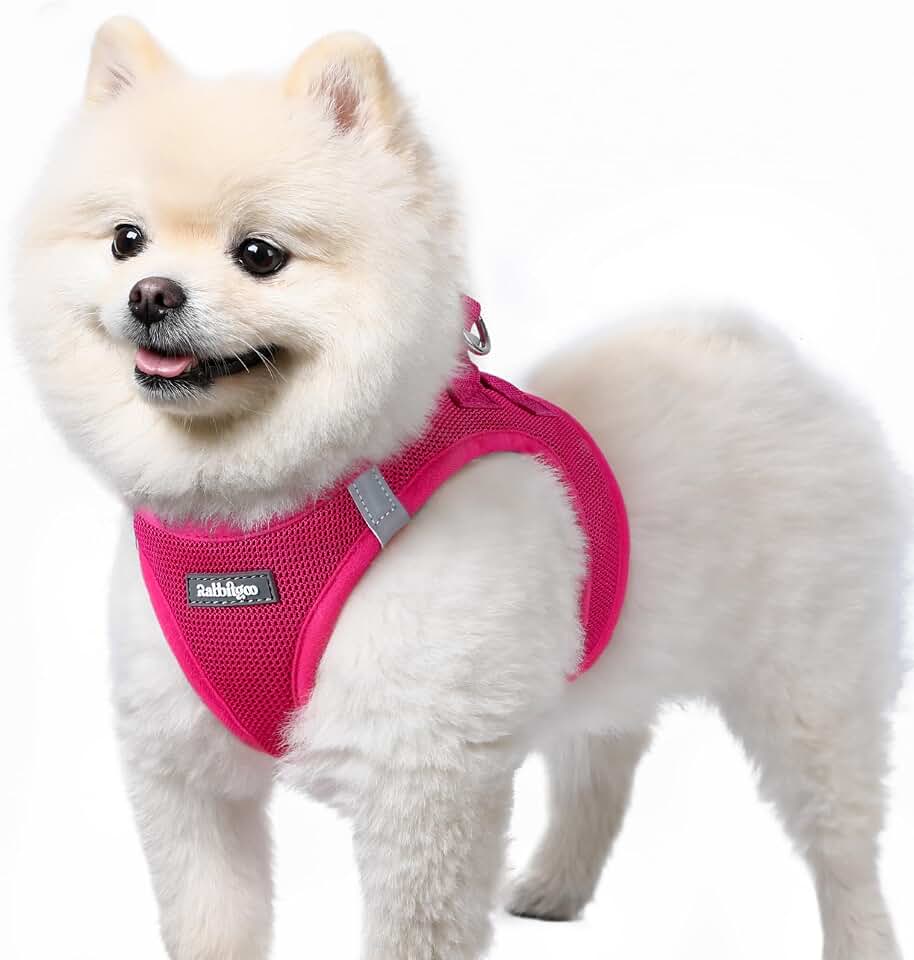 rabbitgoo Arnes Perro Pequeño Rosa Rojo S