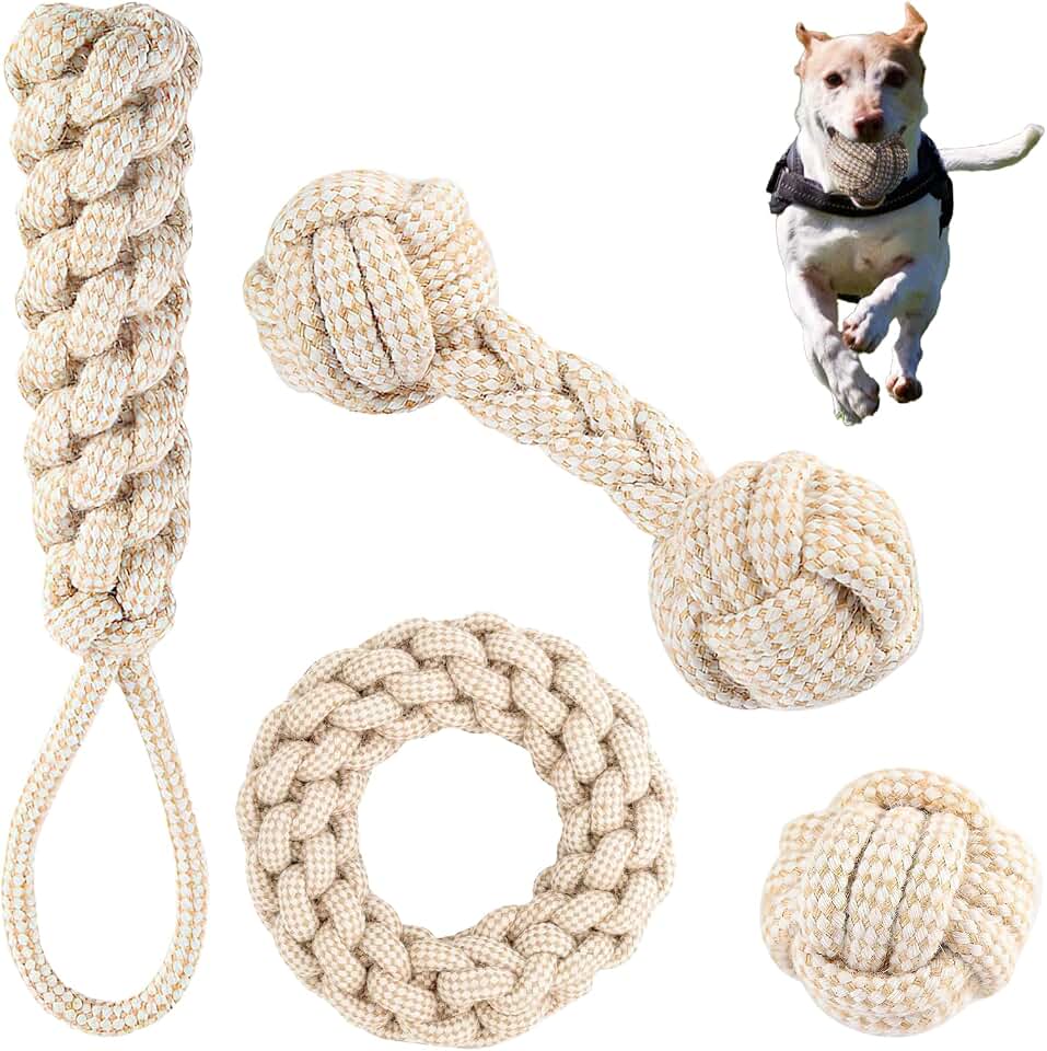 Juguetes para perros de cuerda