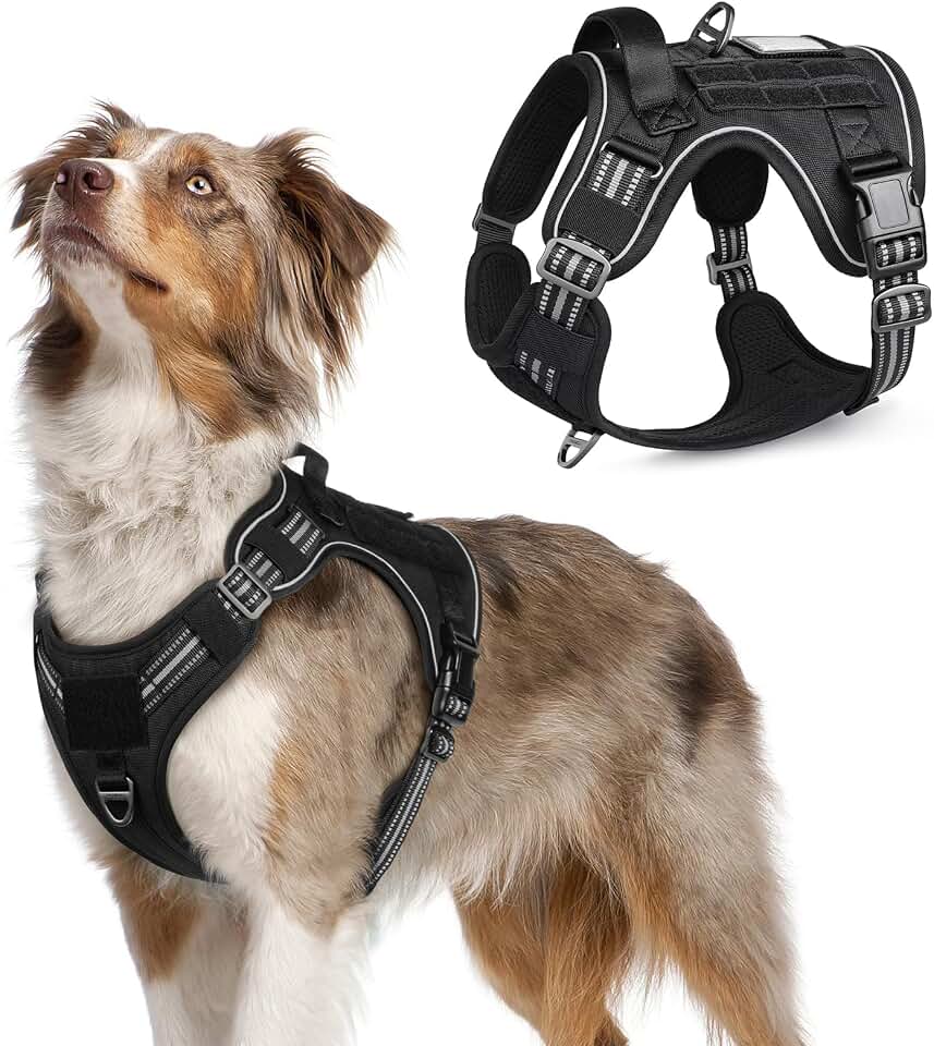 rabbitgoo Arnés Táctico Ajustable con Asa y Molle
