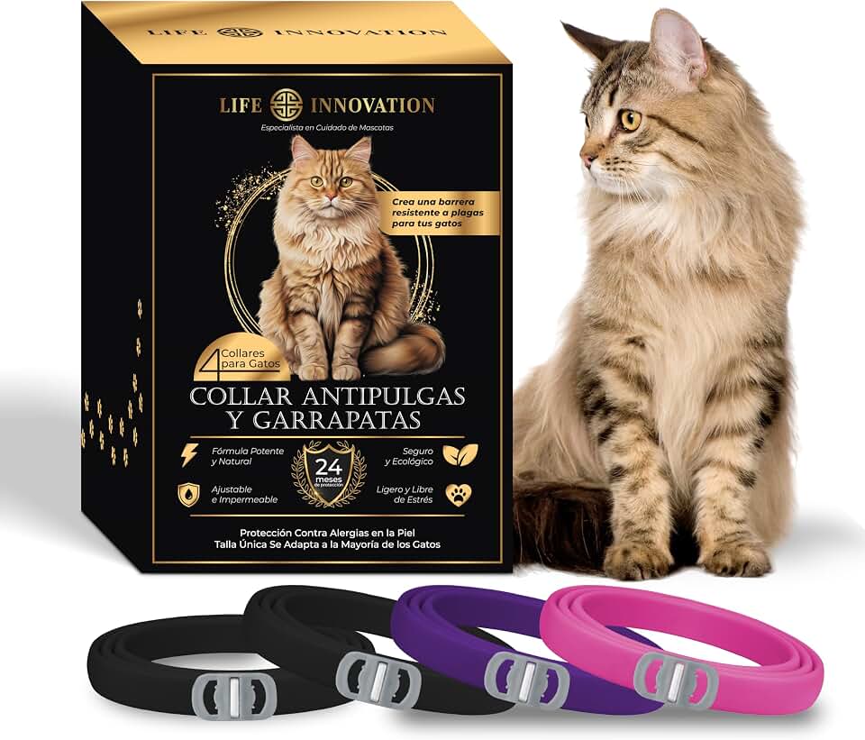 Pack 4 collares antipulgas para gatos